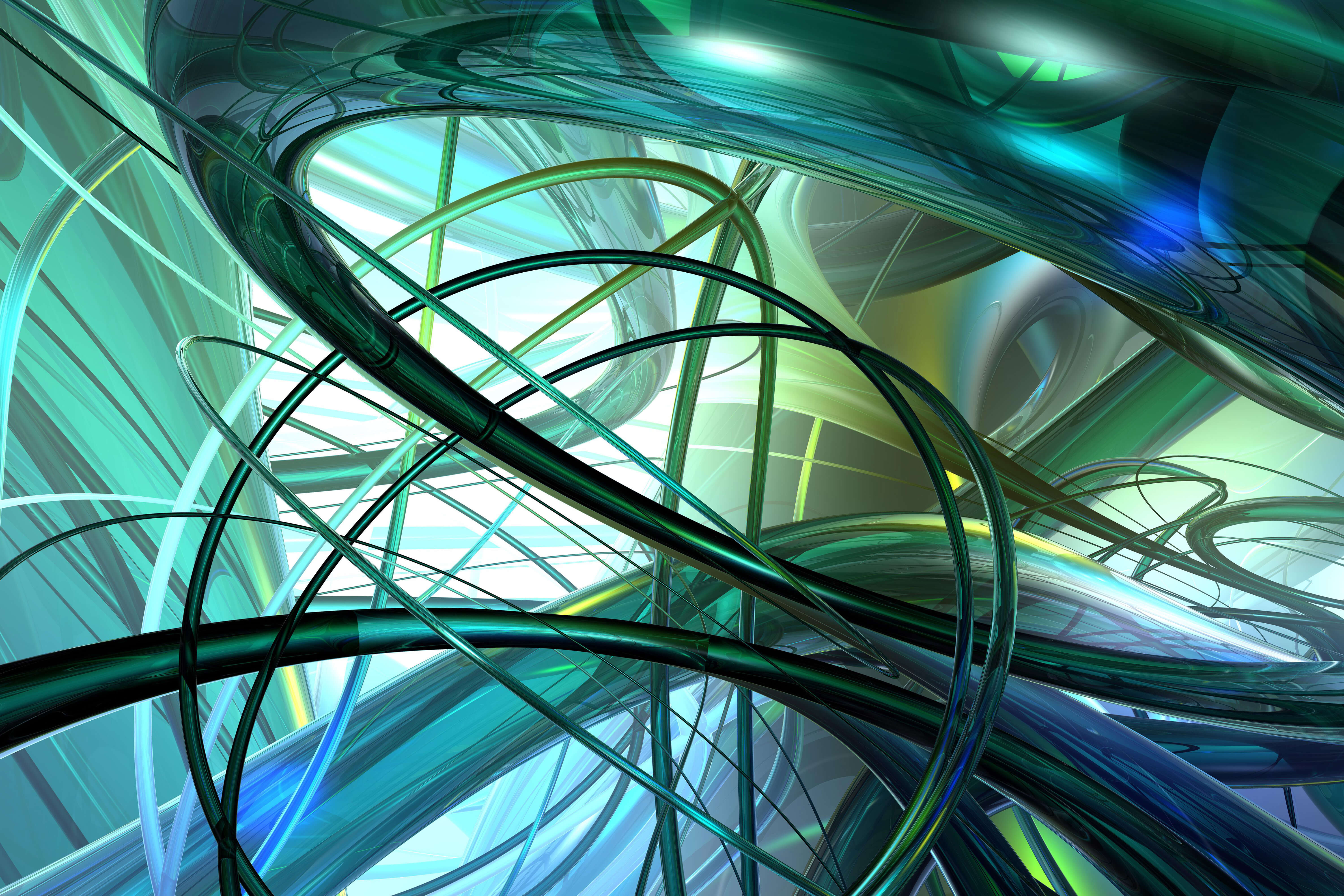 Case Studies Header